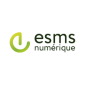 Logo ESMS Numerique